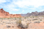 Photo of sparse green vegetation in the foreground and red rock formations in the background