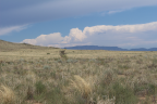 Photo of grassland in foreground and low moutains in background