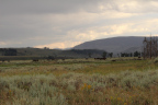 Photo of a landscape with green grasses in the foreground and low mountain in the background